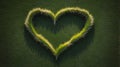 Heart-shaped green grass art on lush lawn with sunlight creating soft shadows and gentle highlights Royalty Free Stock Photo