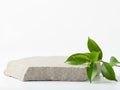A large rectangular block of beige-colored insulation material with green plant leaves on top Royalty Free Stock Photo