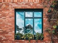 The image features a modern black window set in a red brick wall, adorned with climbing vines and reflecting a clear blue sky Royalty Free Stock Photo