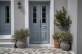 Contemporary Residential Entrance with Gray Front Door and Decorative Windows