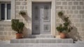 Contemporary Residential Entrance with Gray Front Door and Decorative Windows