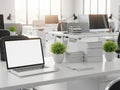 Modern office desk with laptop and plants, isolated on white background Royalty Free Stock Photo