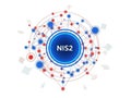 Network concept with nis2 icon isolated on white background Royalty Free Stock Photo