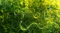 Organic Tendrils Twisting and Coiling Abstract Background Artistic Image.