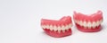 Upper and Lower Denture Set - Dental Prosthesis, Oral Care, False Teeth Model, Dentistry Education, Hygiene Concept Royalty Free Stock Photo