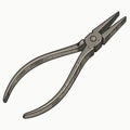 Closeup of a pair of long nose pliers isolated on a white background essential tool for detailed work Royalty Free Stock Photo