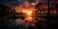 The Pantanal, Brazil. sunset, sunrise, dusk, twilight swamp. flooded landscape. rural lake, creek, swamp. Royalty Free Stock Photo