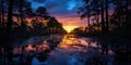 sunset, sunrise, dusk, twilight swamp. flooded landscape. rural lake, creek, swamp. Asmat Swamp, Indonesia. Royalty Free Stock Photo