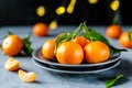 Ripe Tangerines on Textured grey plates with Festive Lights