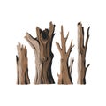 Realistic Tree Stump Vector Illustration for Nature and Craft Design Projects Royalty Free Stock Photo