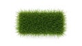 A rectangular patch of green grass isolated on white background Royalty Free Stock Photo