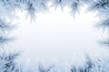 The image features the reflection of light from icy frost crystals Royalty Free Stock Photo