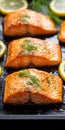 Cooked salmon with lemon and dill garnishes Royalty Free Stock Photo
