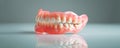 Full Denture Prosthesis Displayed Elegantly for Dental Education: Ceramic Teeth Set: Senior Dentist Care