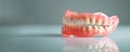 Complete Upper and Lower Artificial Teeth Set in a Side View Reflection: Dental Dentures Education: Senior Dentist Care