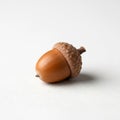 An acorn resting on a white surface, close-up shot emphasizing its natural textures and details. Royalty Free Stock Photo