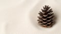 A single brown pine cone rests on a light beige sandy surface. Royalty Free Stock Photo