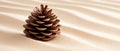 A single brown pine cone rests on a sandy surface. Royalty Free Stock Photo