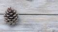 A single pine cone rests on a weathered wooden surface. Royalty Free Stock Photo