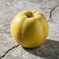 Single Golden Apple on Concrete Surface Royalty Free Stock Photo