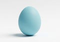 A single light blue egg resting on a white surface with a subtle shadow Royalty Free Stock Photo