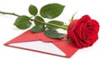 Red rose and envelope isolated on white background Royalty Free Stock Photo
