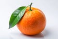 A single ripe orange with one green leaf on a stem is isolated on a white background citrus Royalty Free Stock Photo