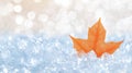 A single orange leaf sits in a bed of ice. Royalty Free Stock Photo