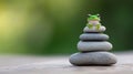 A green frog sits atop a stack of gray rocks. Royalty Free Stock Photo