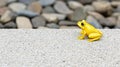A yellow frog sits on a concrete ledge. Royalty Free Stock Photo