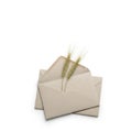Stack of envelopes with wheat stem isolated on white background Royalty Free Stock Photo