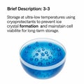 A vivid blue liquid with bubbles symbolizing the cryoprotecta Royalty Free Stock Photo