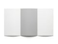 Three blank rectangular objects standing upright, with the middle one gray and the others white, isolated on white background Royalty Free Stock Photo