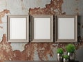 Three empty frames on distressed wall, isolated on white background Royalty Free Stock Photo