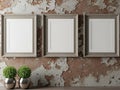Three picture frames isolated on white background Royalty Free Stock Photo
