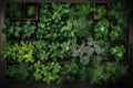 Image features a top-down view of young green plants, with fresh shoots and leaves