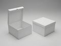 Two cardboard boxes isolated on white background Royalty Free Stock Photo