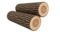 Two Oak Logs with Visible Rings and Bark Royalty Free Stock Photo