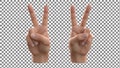 Two hands making peace signs Royalty Free Stock Photo