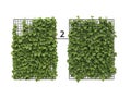 Pair of lush green vertical garden panels with black grid frames and leafy foliage isolated on white background Royalty Free Stock Photo