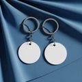 Two key rings with blank discs isolated on white background Royalty Free Stock Photo