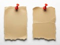 Two notes with pushpins isolated on white background Royalty Free Stock Photo