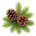 Two pinecones with green needles Royalty Free Stock Photo