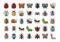 Colorful collection of insects and bugs Royalty Free Stock Photo