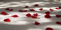 Red rose petals scattered on white surface Royalty Free Stock Photo