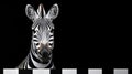 A zebra with a black and white striped face. Royalty Free Stock Photo