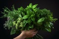 An image featuring hands holding a bunch of fresh herbs with vibrant green leaves, symbolizing the abundance of chlorophyll in