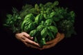 An image featuring hands holding a bunch of fresh herbs with vibrant green leaves, symbolizing the abundance of chlorophyll in