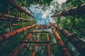 An image featuring a towering bamboo tree adorned with multiple pipes, Sky-high, towering playground reached by a long ladder, AI