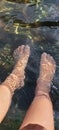 Image of feet soaking in clear river water